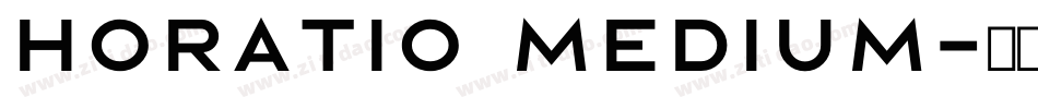 Horatio Medium字体转换